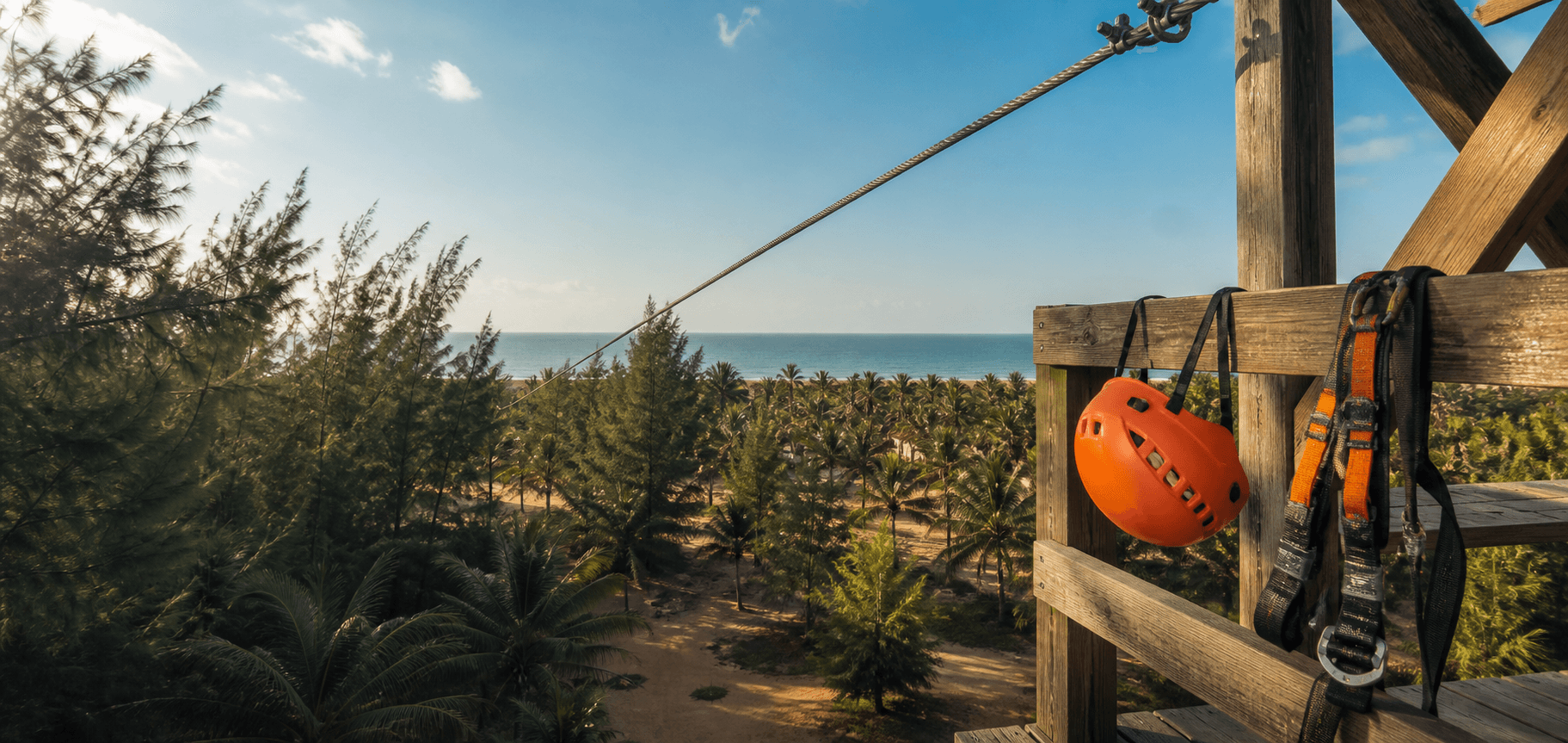 Coastal zipline cable and safety gear above the casuarina trees
